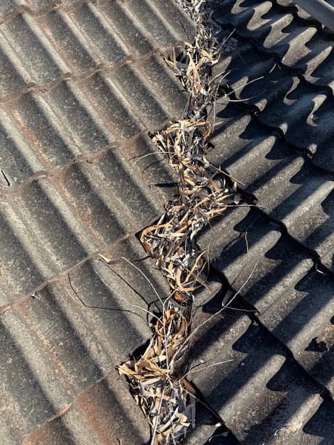 Gutter Gobbler gutter cleaning work in Clarkson
