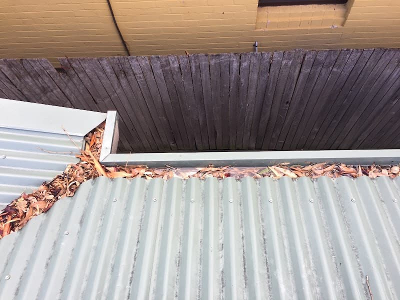 Gutter Gobbler gutter cleaning work in Clarkson