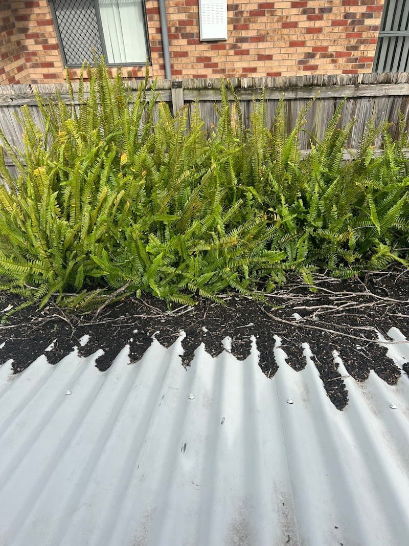 Gutter Guard Gold Coast gutter cleaning work in Helensvale