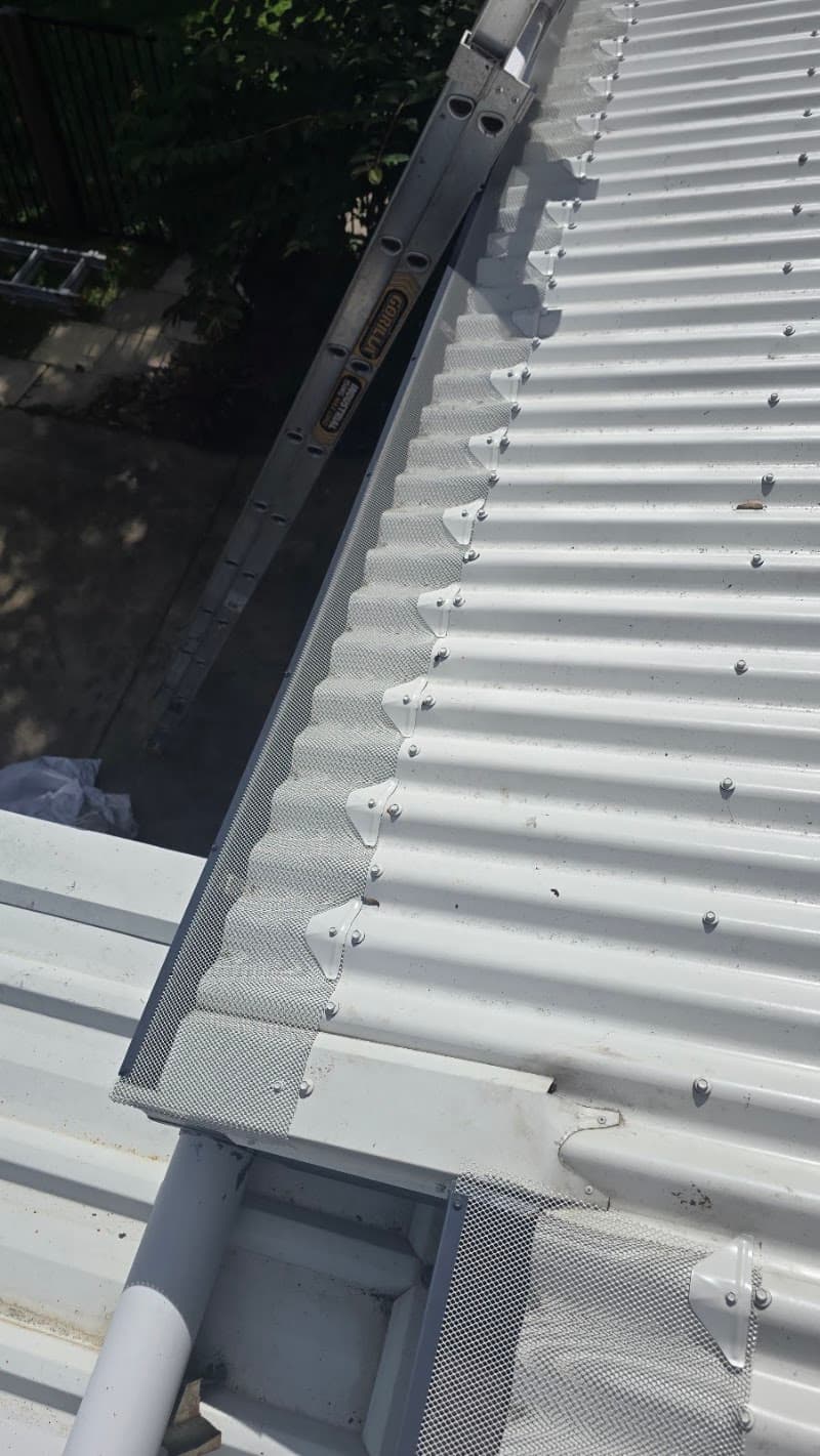 Gutter-Guard Townsville gutter cleaning work in West End
