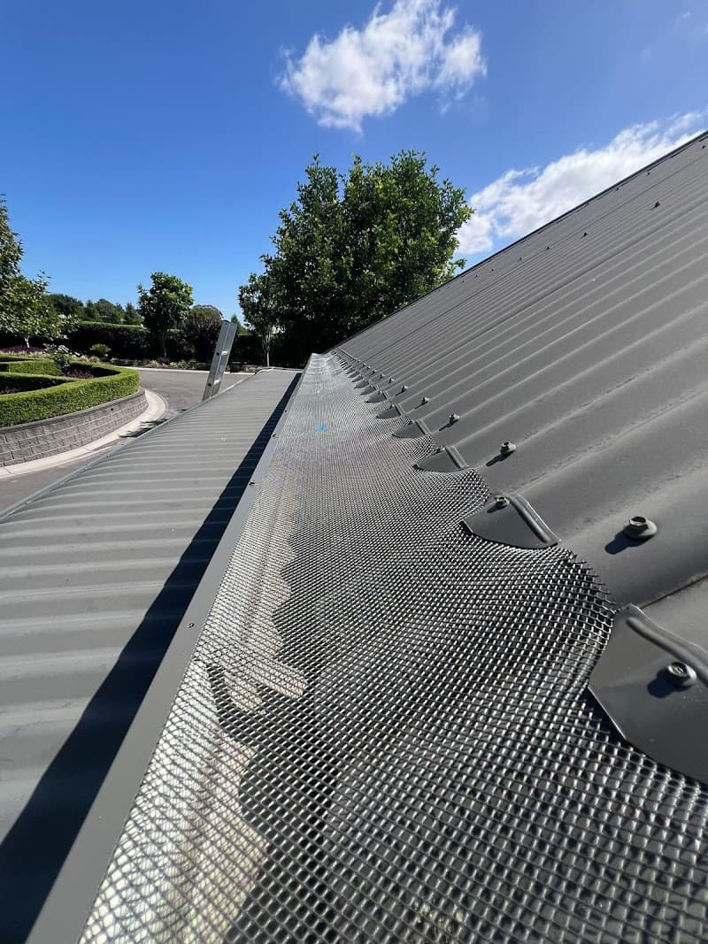 Gutter Guards Sydney gutter cleaning work in Pyrmont