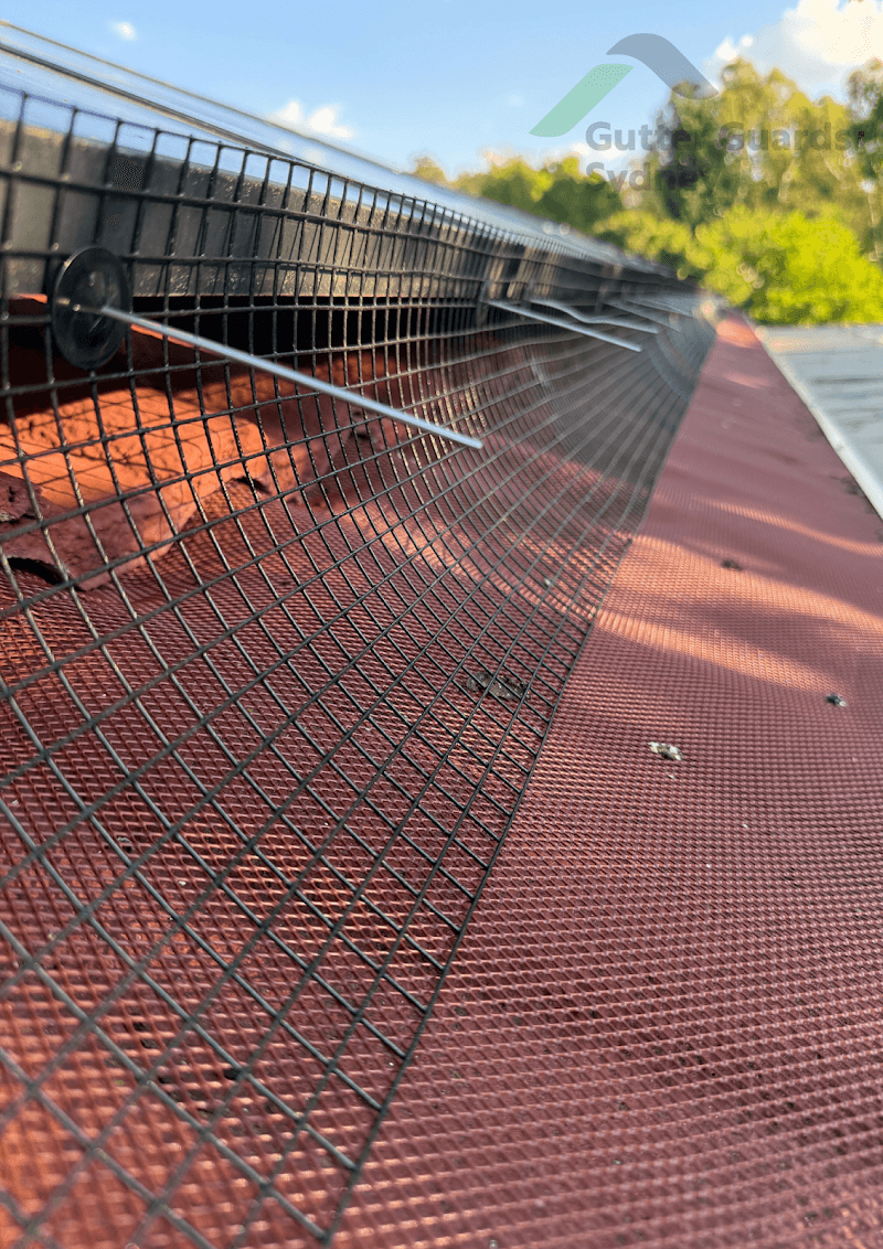 Gutter Guards Sydney gutter cleaning work in Pyrmont
