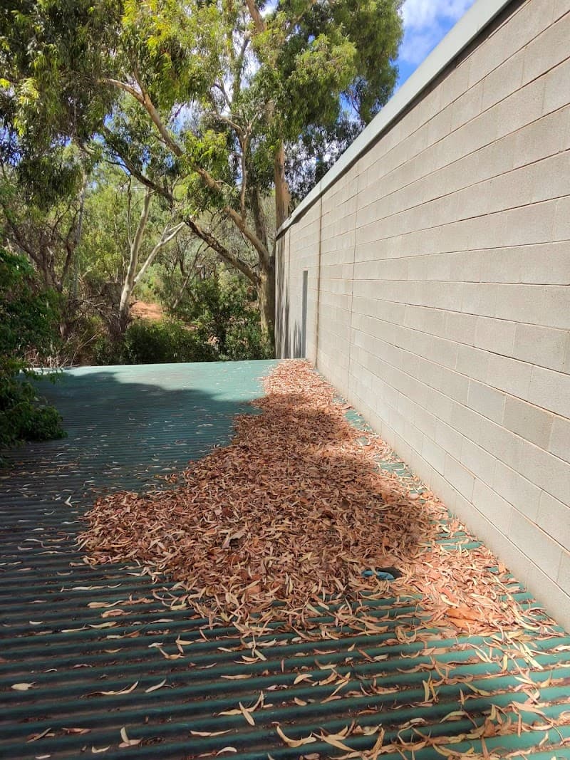 Gutter Guys Adelaide gutter cleaning work in Modbury