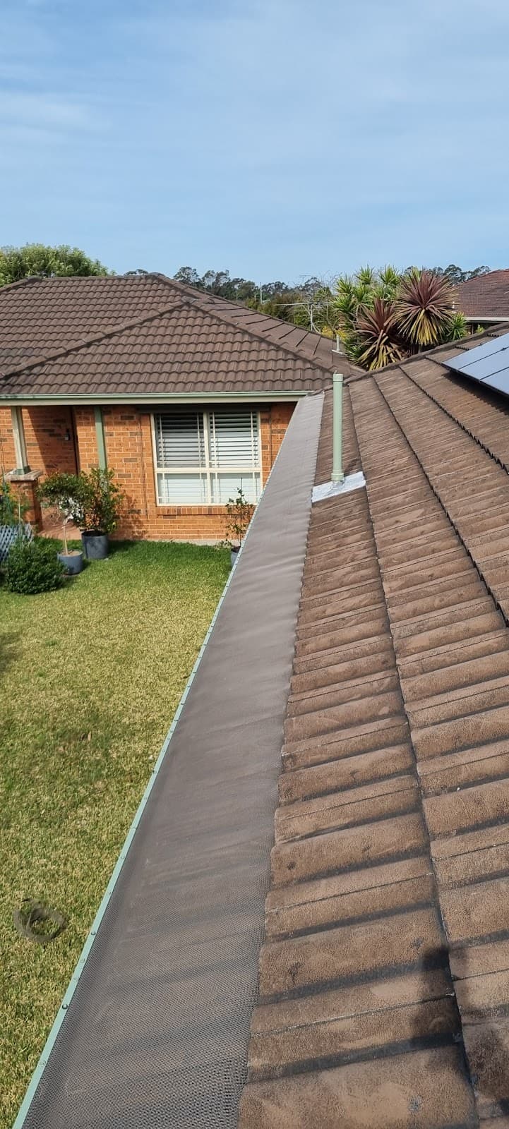 Gutter Knight Hunter gutter cleaning work in Medowie