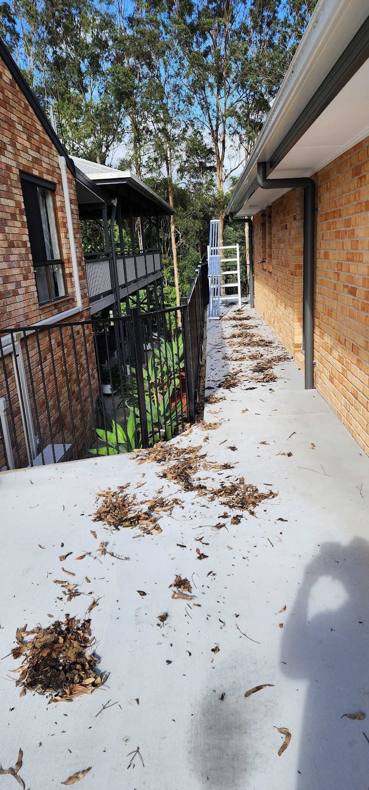 Gutter Knight Logan gutter cleaning work in Beenleigh