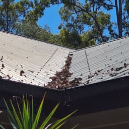 Gutter Maintenance