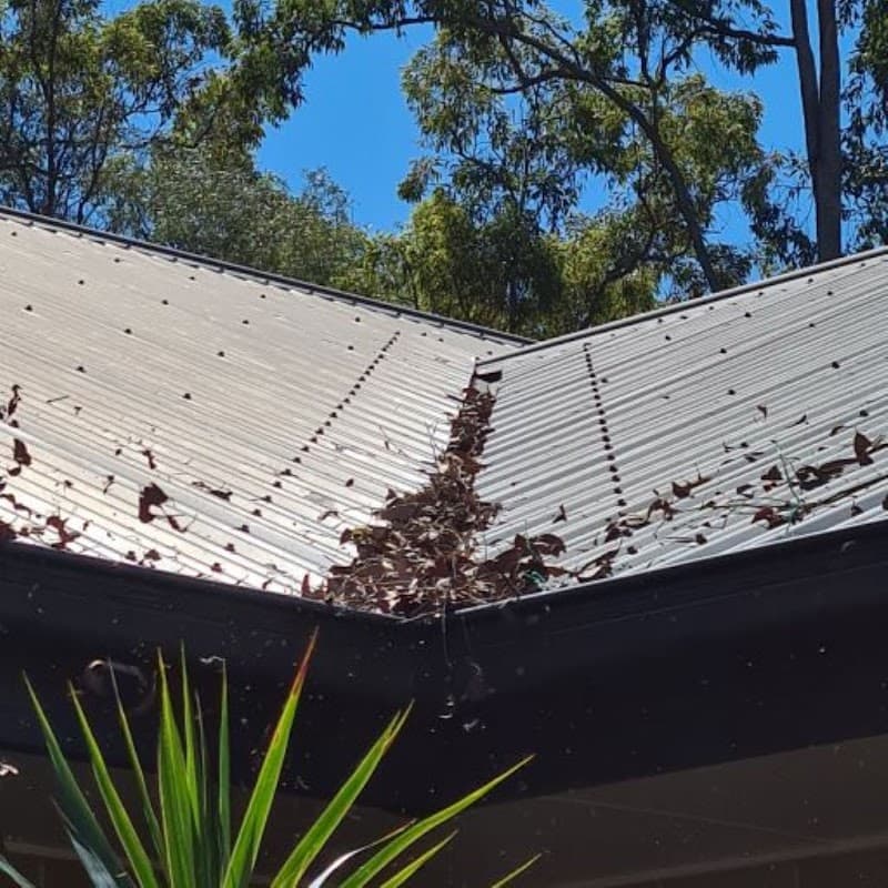 Gutter Maintenance gutter cleaning work in Shailer Park