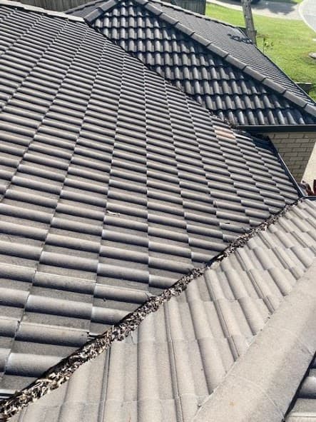 Gutter Maintenance gutter cleaning work in Shailer Park