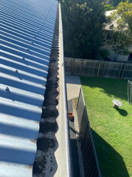 Gutter Maintenance gutter cleaning work in Shailer Park