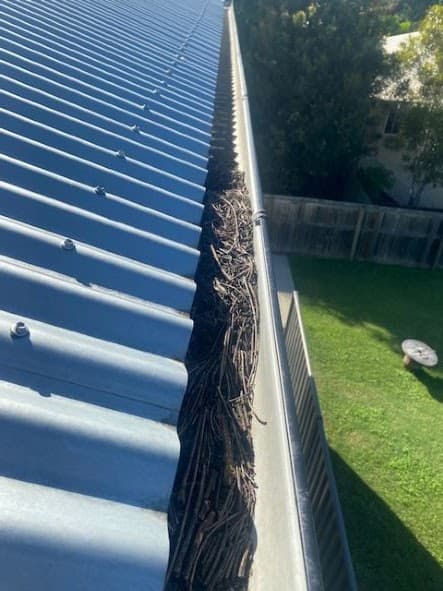 Gutter Maintenance gutter cleaning work in Shailer Park