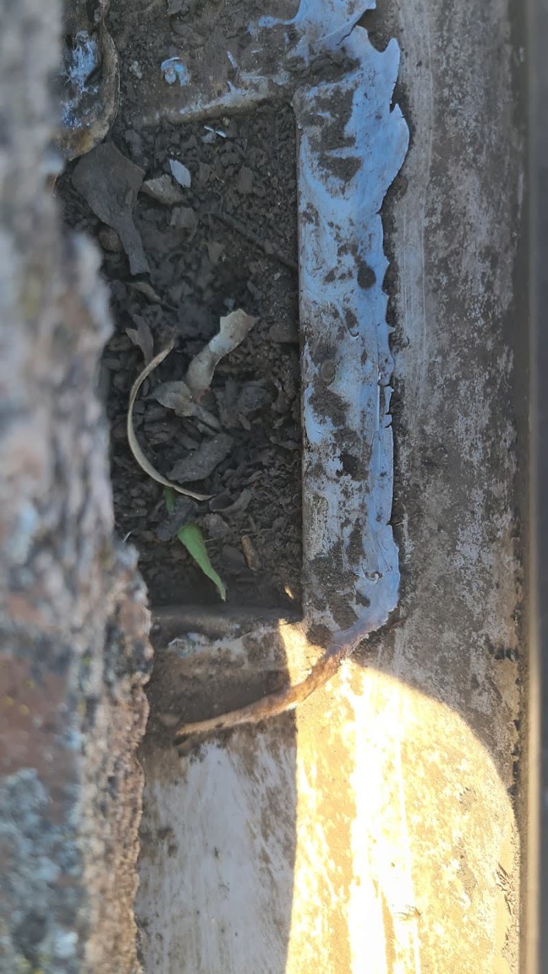 Gutter Mates gutter cleaning work in Werrington Downs