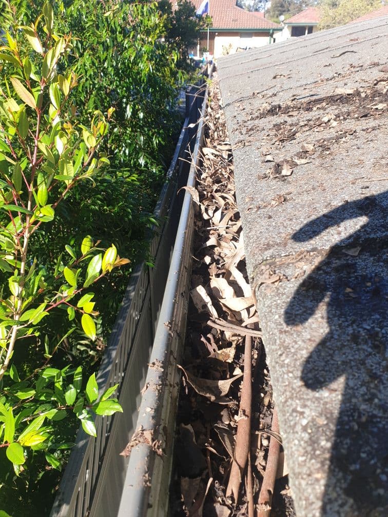 Gutter relief Gutter Cleaning Pty Ltd gutter cleaning work in St Clair