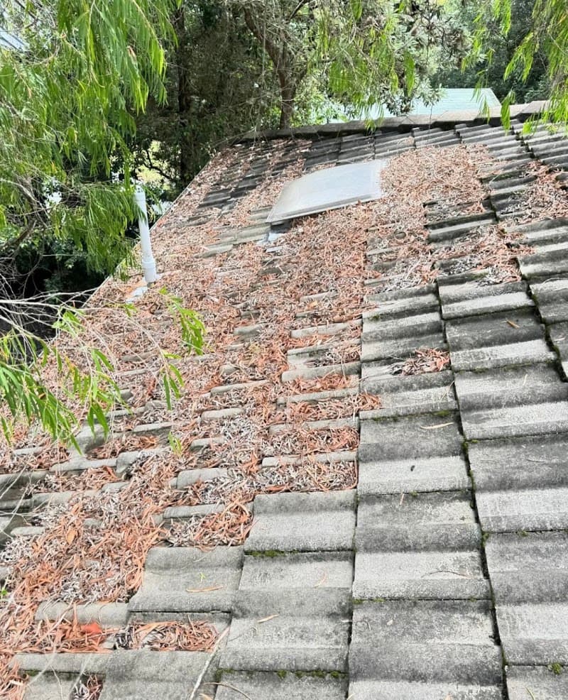 GUTTERFIX gutter cleaning work in Caringbah South