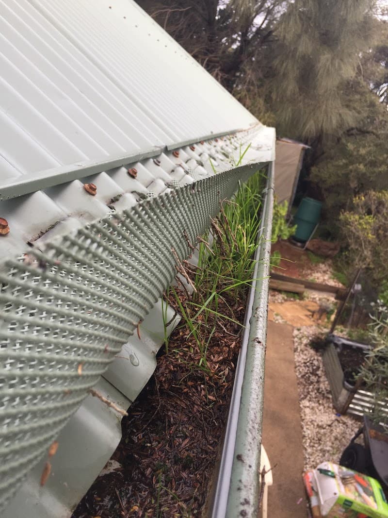 Gutters Uncluttered gutter cleaning work in Capel Sound