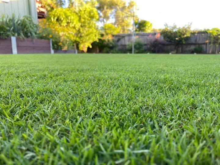 Halls Head Gardening lawn care work in Halls Head