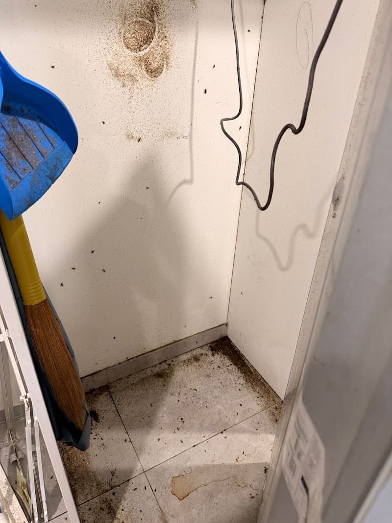 Hamro Best Pest Control - Pest Control Sydney pest control work in Auburn