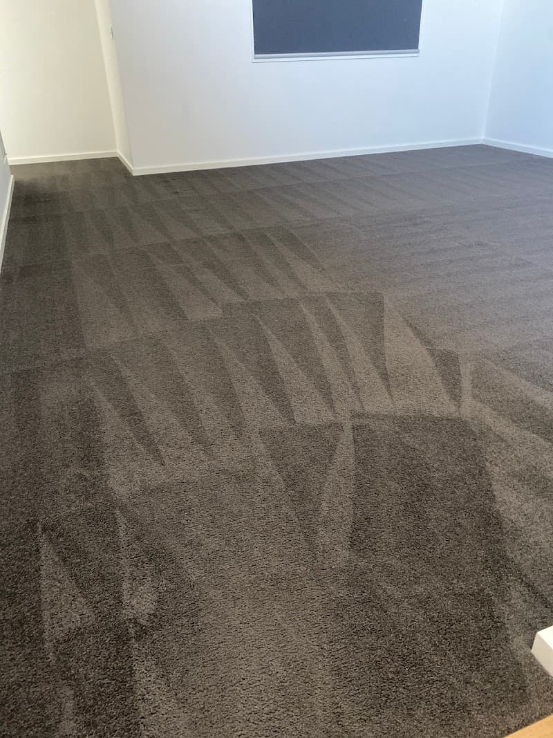 Handy Cleaning Services Geelong carpet cleaning work in Geelong