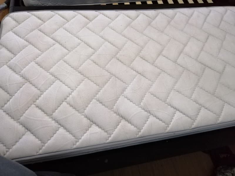 Handy Cleaning Services Geelong carpet cleaning work in Geelong