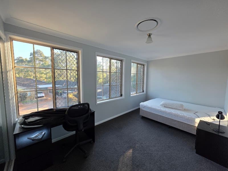 Happy Newcastle painting painter work in North Lambton