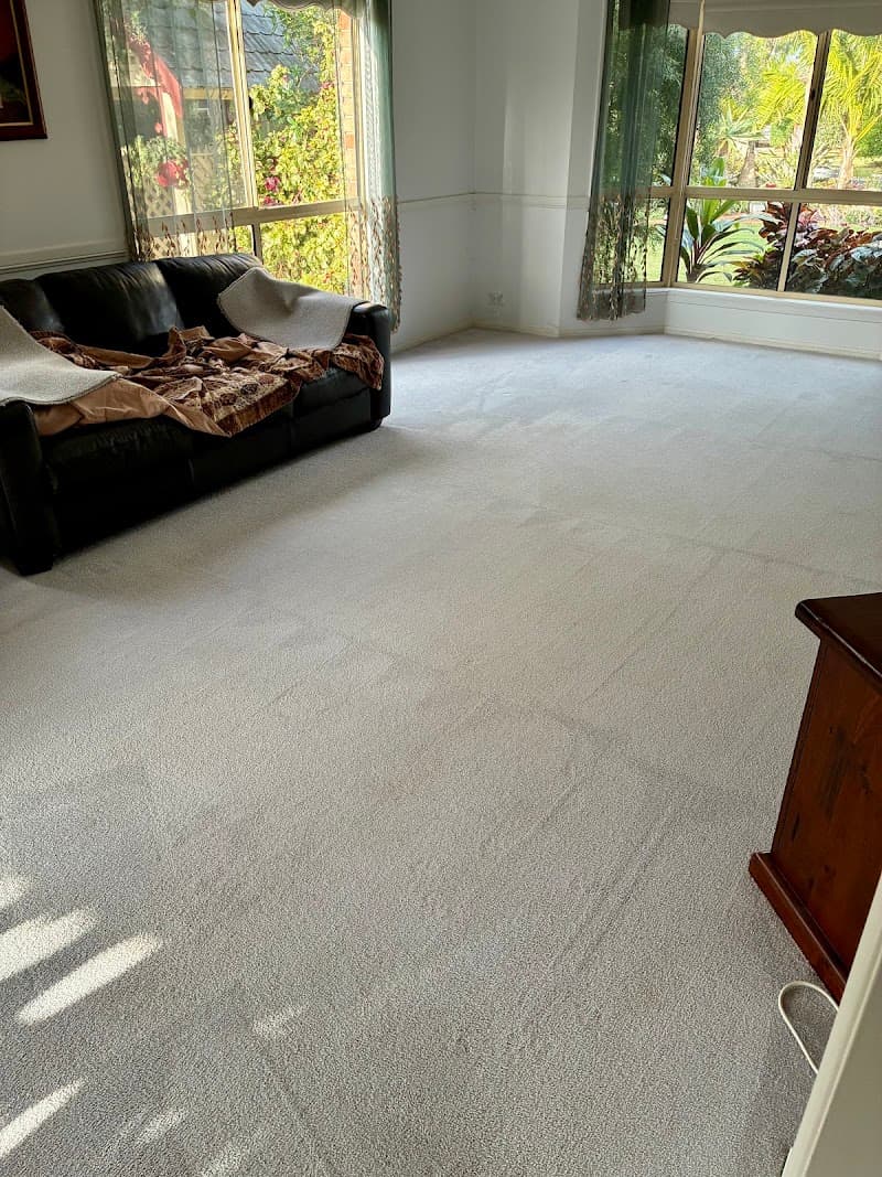 Harbour Carpet Cleaning carpet cleaning work in Coffs Harbour