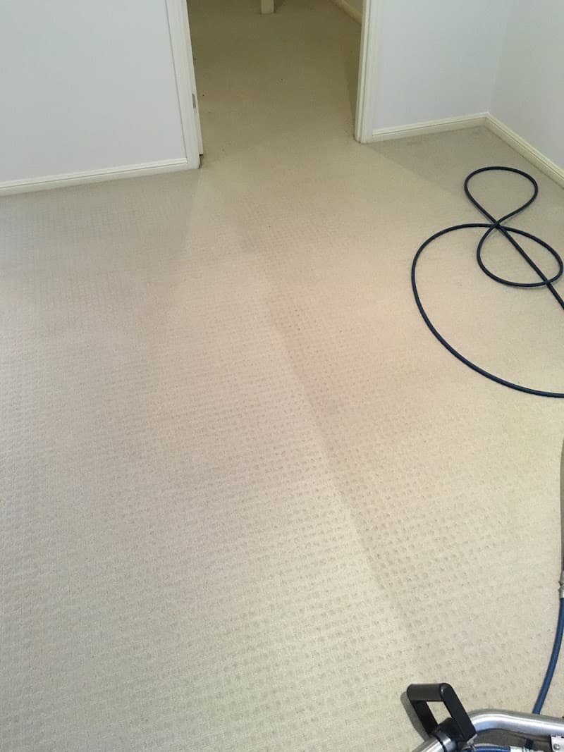 Harbour Carpet Cleaning carpet cleaning work in Coffs Harbour