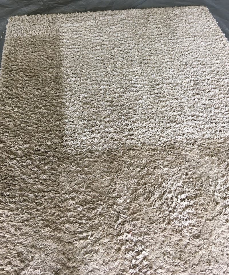Harbour Carpet Cleaning carpet cleaning work in Coffs Harbour