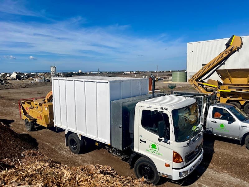 Harry's Yard: Tree Removal Services tree services work in Essendon
