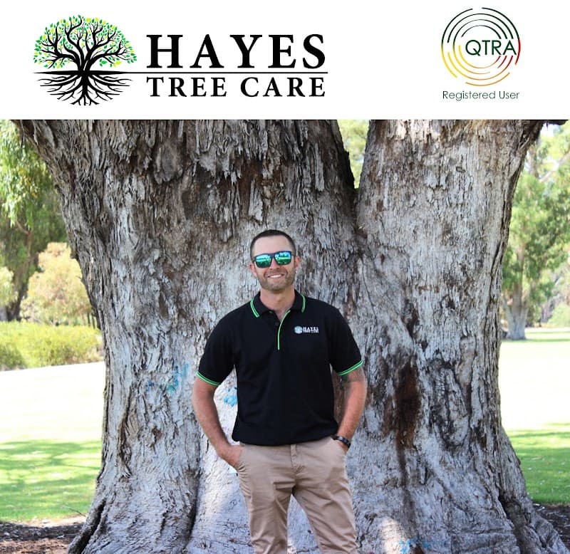 Hayes Tree Care tree services work in Greenfields