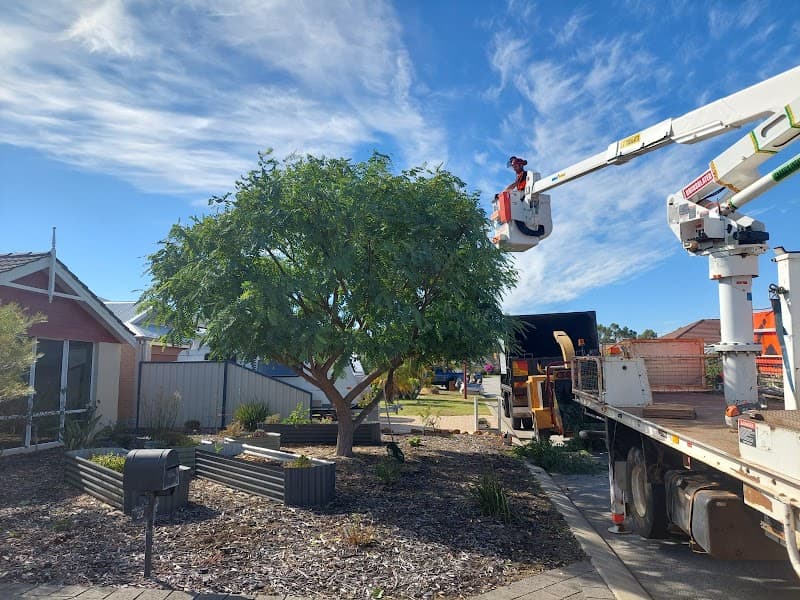 Hayes Tree Care tree services work in Greenfields