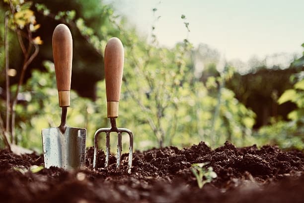 Hedge & Green Gardening Maintenance landscaping work in Centenary Heights