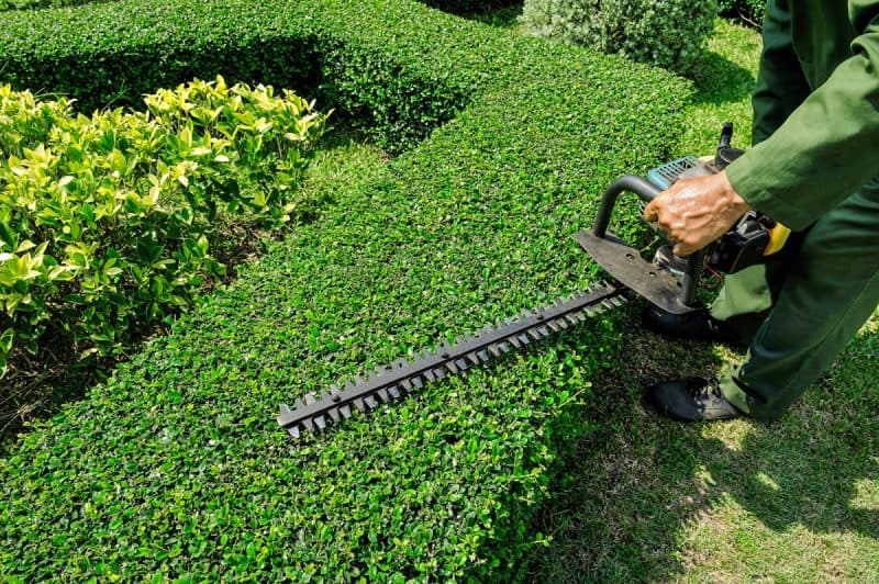 Hedge & Green Gardening Maintenance landscaping work in Centenary Heights