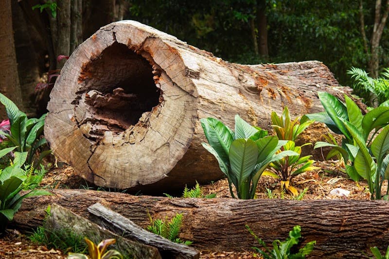 Heritage Tree Care - Toowoomba tree services work in Harlaxton