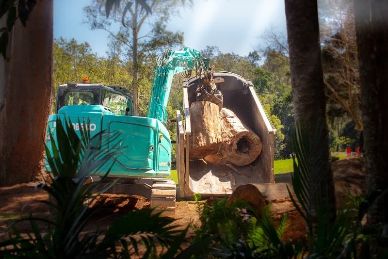 Heritage Tree Care - Toowoomba tree services work in Harlaxton