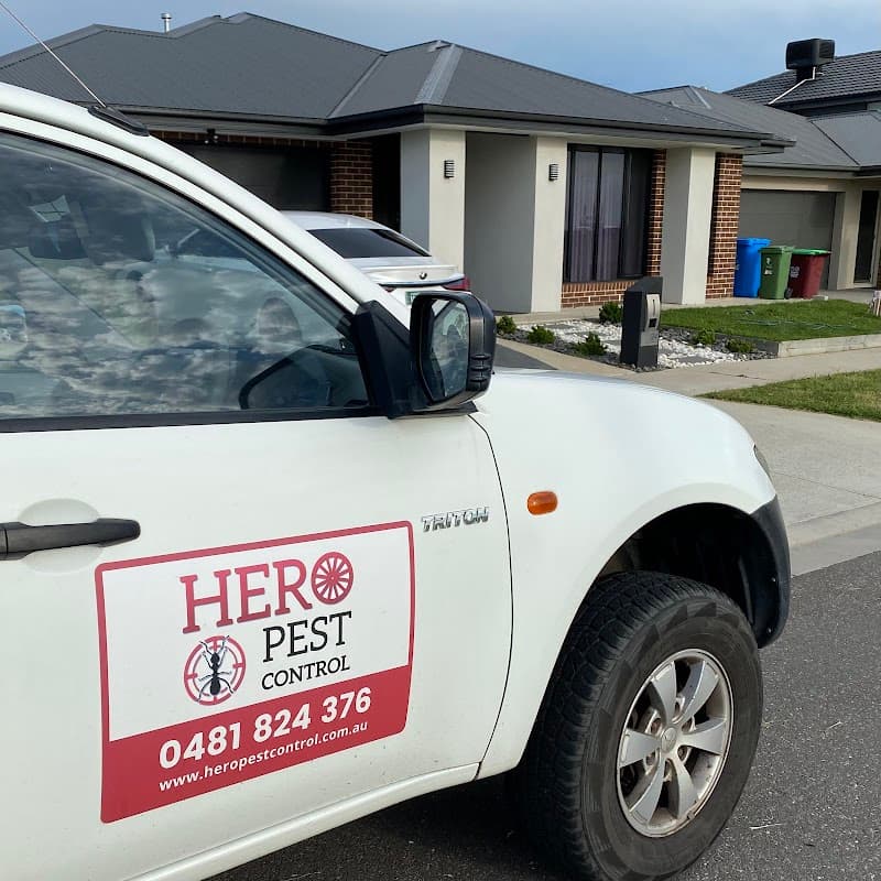 Hero Pest Control Cranbourne pest control work in Cranbourne South