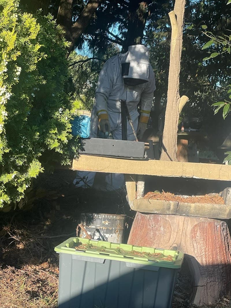 Hero Pest Control Cranbourne pest control work in Cranbourne South