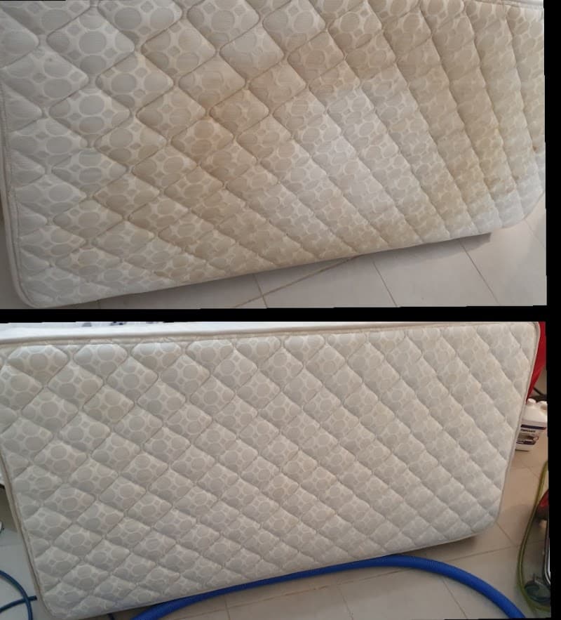 Heron Tile and Carpet Care carpet cleaning work in Rockingham