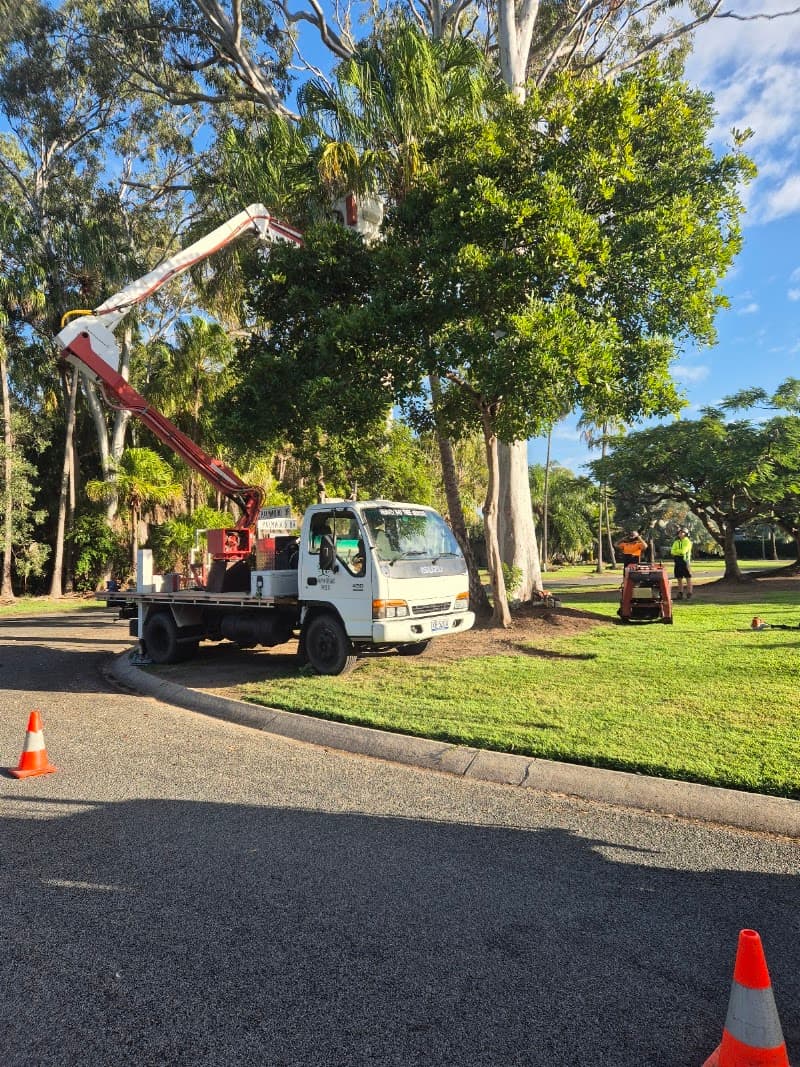 Hervey Bay Tree Services tree services work in Booral