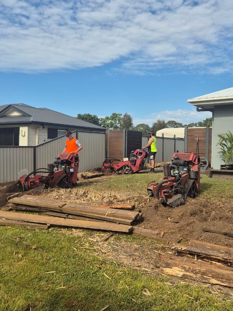 Hervey Bay Tree Services tree services work in Booral