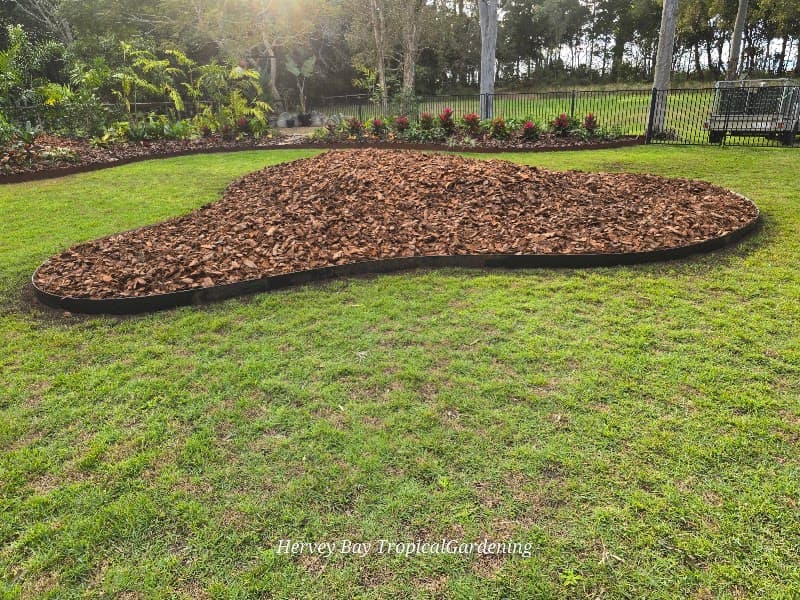 Hervey Bay Tropical Gardening gardening work in Torquay