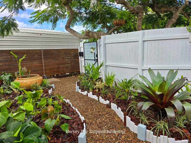 Hervey Bay Tropical Gardening gardening work in Torquay