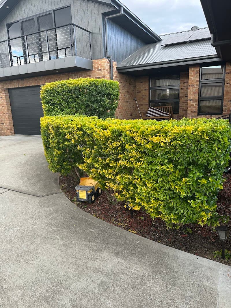 High Calibre Lawn Care- Maitland and Surrounds lawn care work in Rutherford