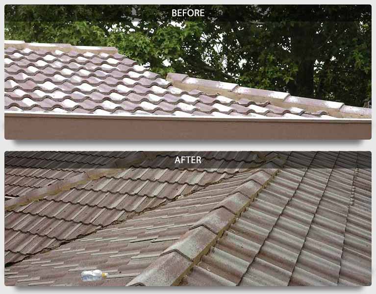 Highton Roof Restoration - Roofing Service roofing work in Newtown