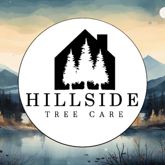 Hillside Tree Care tree services work in Upwey