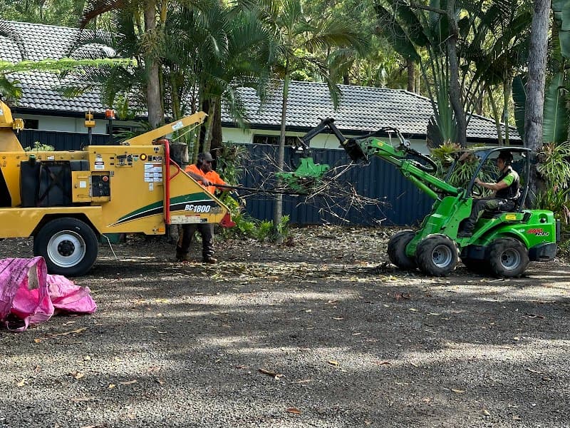 Hinterland Tree and Stump Removal Sunshine Coast tree services work in Palmview