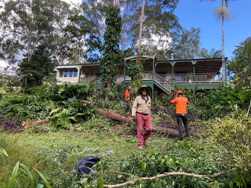 Hinterland Tree and Stump Removal Sunshine Coast tree services work in Palmview