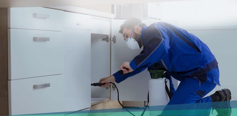 Hire Us 4 Pest Control pest control work in Keysborough