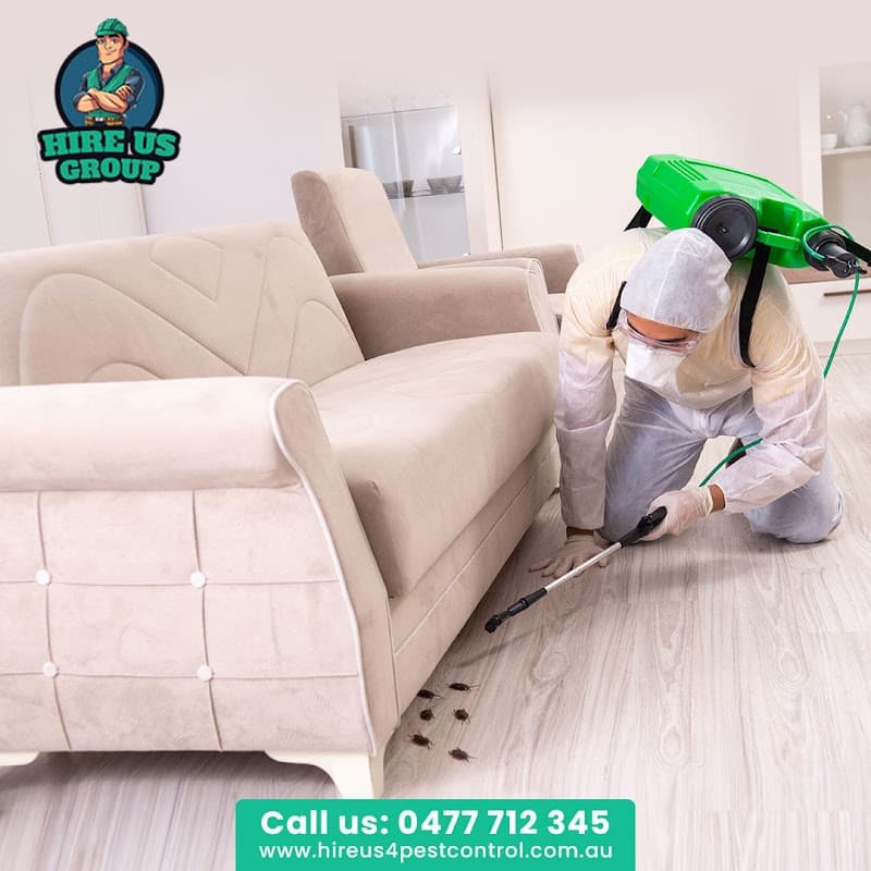 Hire Us 4 Pest Control pest control work in Keysborough