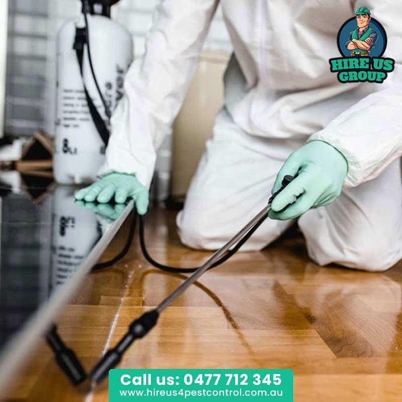 Hire Us 4 Pest Control pest control work in Keysborough