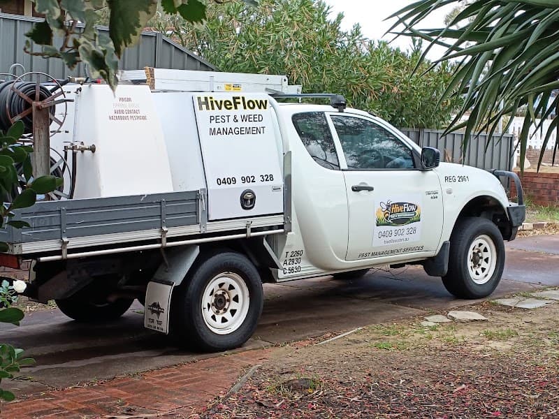 Hiveflow Pest and Weed Management pest control work in Craigie