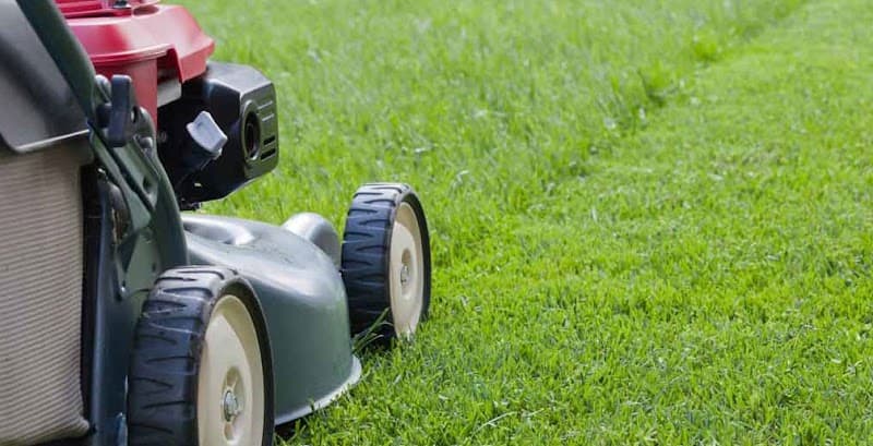 HK LAWN MOWING SERVICE lawn care work in Telopea